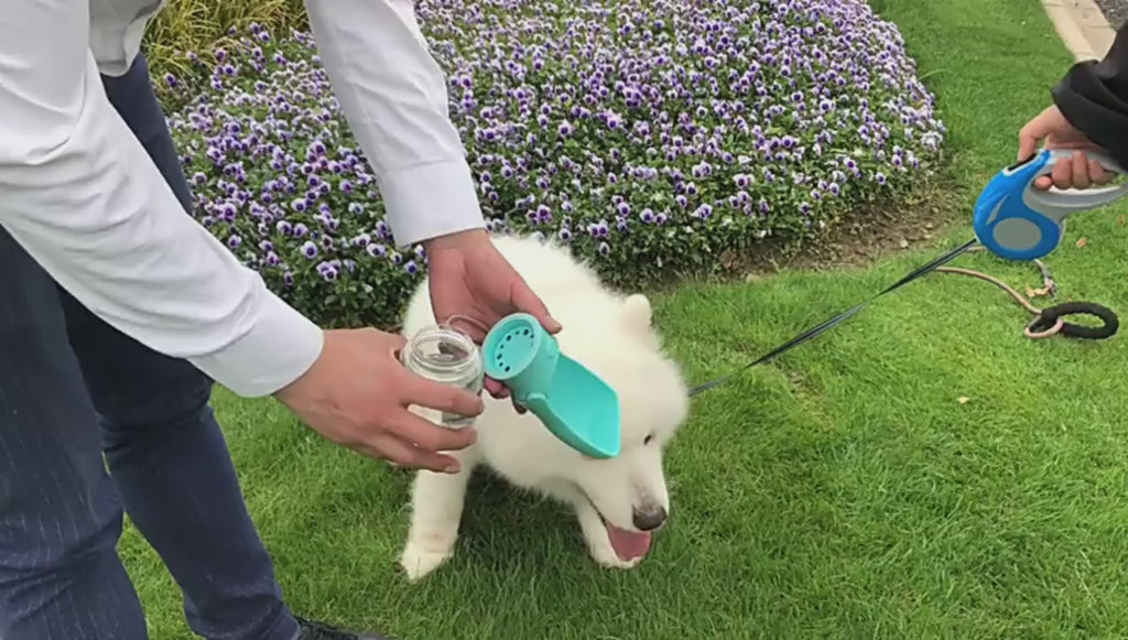 Portable Pet Water Bottle Dispenser